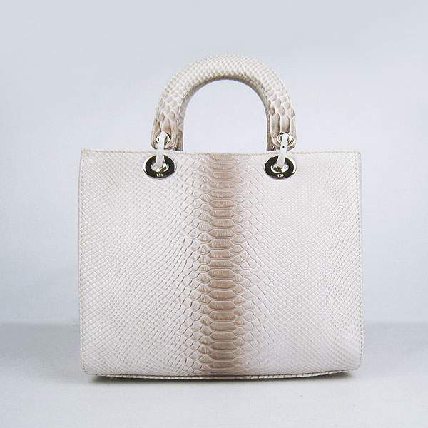 Christian Dior 1886 Snake Leather Shoulder Bag-Gray